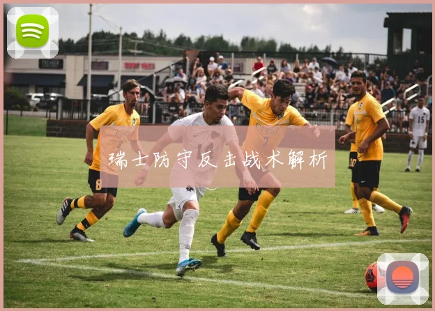 瑞士防守反击战术解析