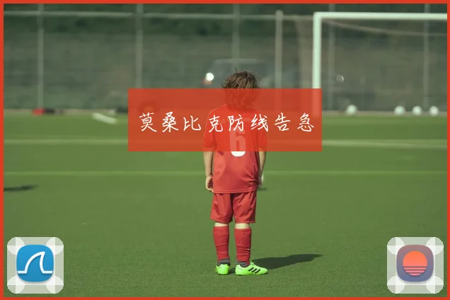 莫桑比克防线告急