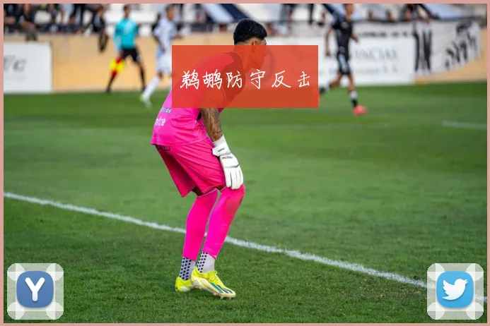 鹈鹕防守反击