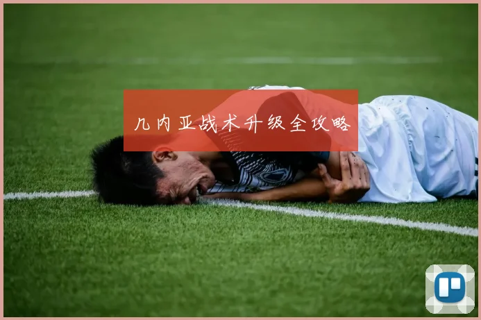 几内亚战术升级全攻略