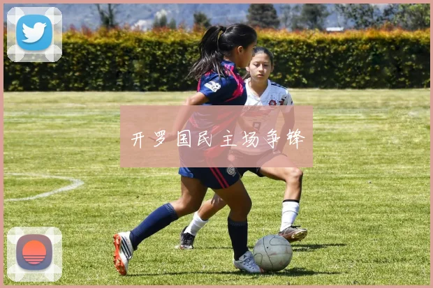 开罗国民主场争锋