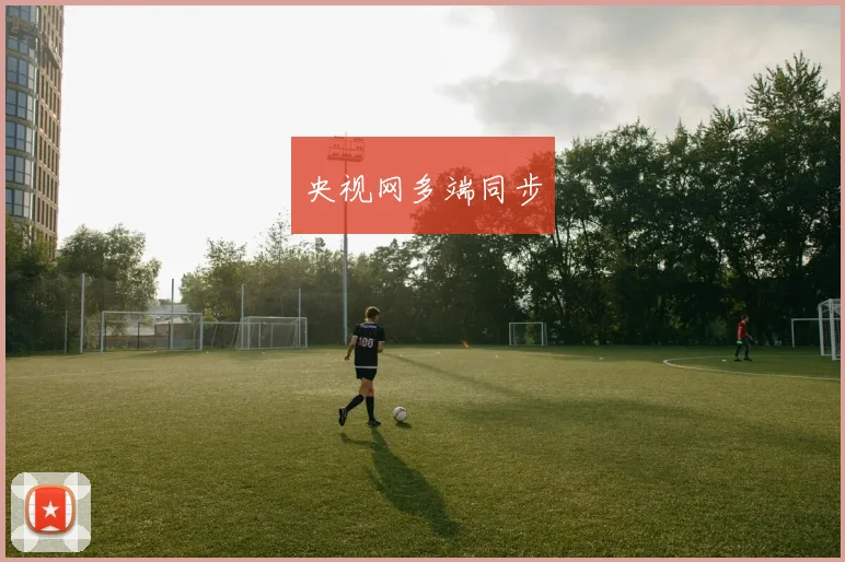 央视网多端同步
