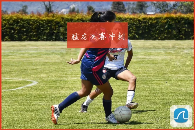 猛龙决赛冲刺